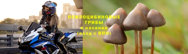 стаф Алексеевка
